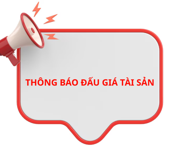 THÔNG BÁO ĐẤU GIÁ TÀI SẢN 20/5/2025