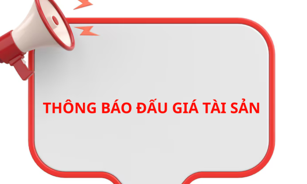 THÔNG BÁO ĐẤU GIÁ TÀI SẢN 20/5/2025
