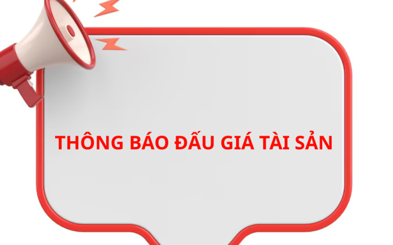 THÔNG BÁO ĐẤU GIÁ TÀI SẢN 20/5/2025